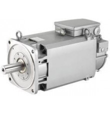 1PH8163-1DF10-2HA1-Z