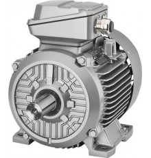 1MB1511-1BC2.-.... Серия чугунных 1MB15 und 1MB16 - Самовентилируемый