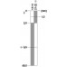 3SE5112-0CC02-1AJ0