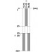 3SE5132-0PC03