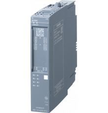 6DL1131-6GF00-0PK0